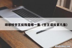 誉王谋反第几集 琅琊榜誉王反叛是哪一集