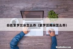 紫罗兰用水怎么养 白色紫罗兰水怎么养