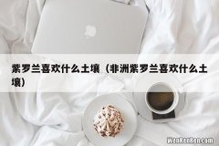 非洲紫罗兰喜欢什么土壤 紫罗兰喜欢什么土壤