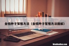 金桔种子繁殖方法图解 金桔种子繁殖方法