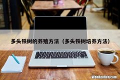 多头铁树培养方法 多头铁树的养殖方法