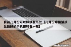 几月份嫁接蟹爪兰最好的手机视频看一眼 目前几月份可以嫁接蟹爪兰