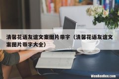 清馨花语友谊文案图片带字大全 清馨花语友谊文案图片带字