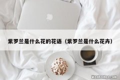 紫罗兰是什么花卉 紫罗兰是什么花的花语