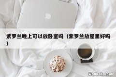 紫罗兰放屋里好吗 紫罗兰晚上可以放卧室吗