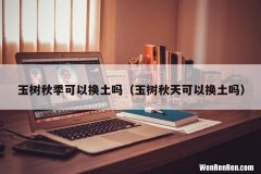 玉树秋天可以换土吗 玉树秋季可以换土吗