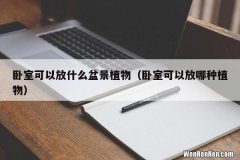 卧室可以放哪种植物 卧室可以放什么盆景植物