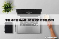 适合盆栽的木槿品种 木槿可以盆栽品种