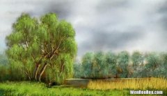 从感性认识上升到理性认识